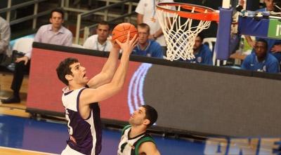 גור אריה (עמית מצפה)