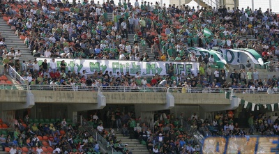 קהל כפ&qout;ס (דרור עינב) קהל כפ&qout;ס (דרור עינב)