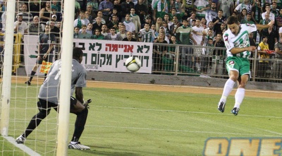 בוקולי נוגח (עמית מצפה)