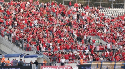 אוהדי הפועל ת&qout;א. (רועי גלדסטון) אוהדי הפועל ת&qout;א. (רועי גלדסטון)