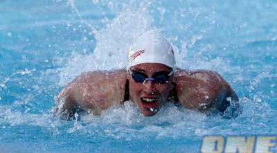 פרפר גברים (שי לוי)