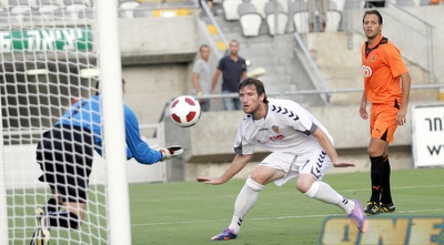 אוגרקלידזה מנסה לנגוח (דרור עינב)