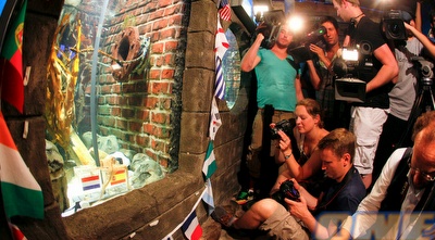 עיתונאים צופים בפול התמנון (רויטרס)