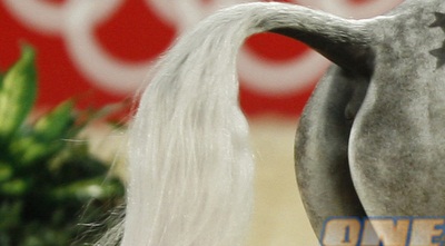 זנב (רויטרס)