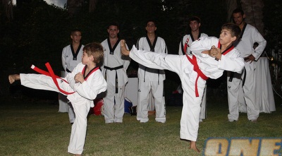 טאקוונדו (ONE)