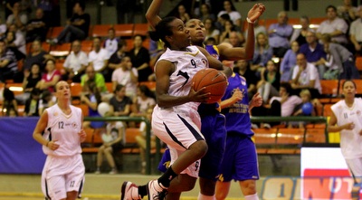 בוביט (שי לוי)