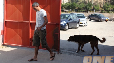 עידן ויצמן. קרע במיניסקוס לקשר הרכש (עמית מצפה)