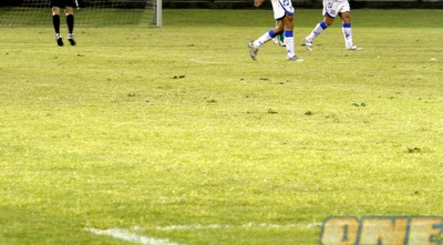 כך נראה משטח דשא באצטדיון בליגת העל 2010/11 (יוסי ציפקיס)