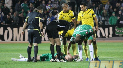 מימון שרוע על הדשא (עמית מצפה)