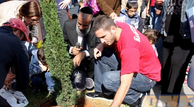 חיימוביץ´ (יניב גונן)