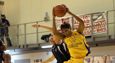 רובינסון (מור שאולי)