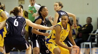 מוטגומרי (מור שאולי)