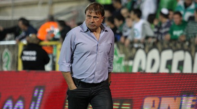 אלישע לוי (עמית מצפה)