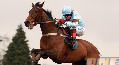 רכיבת סוסים. עוד מירוץ צמוד (GettyImages)