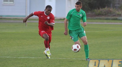 סארי פלאח ואמוס קולי (עמית מצפה)