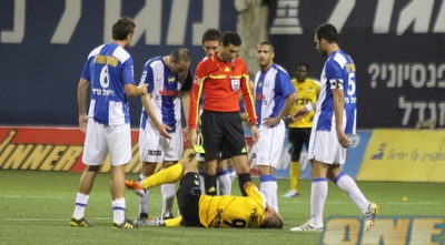 סבע שוכב (מור שאולי)