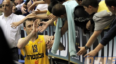 מכבי חוגגת (יוסי ציפקיס)