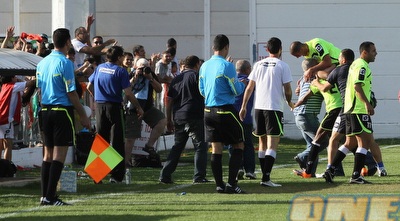 מומי זפרן נבלע בין החגיגות (מור שאולי)