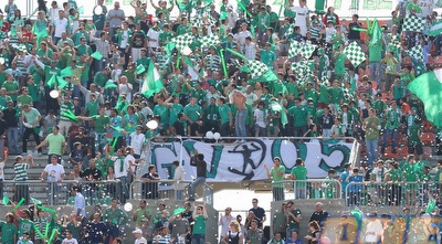 קהל (שי לוי)