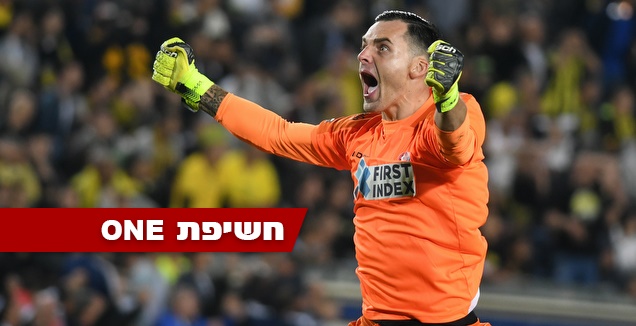 שטקוס חוגג (עמרי שטיין)