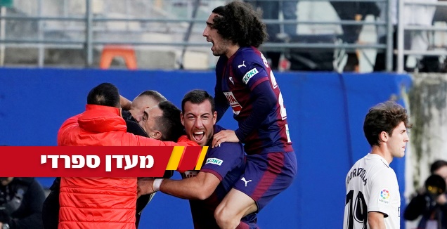 קוקורייה. אי אפשר לפספס אותו (רויטרס)