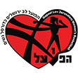 הפועל לב י-ם