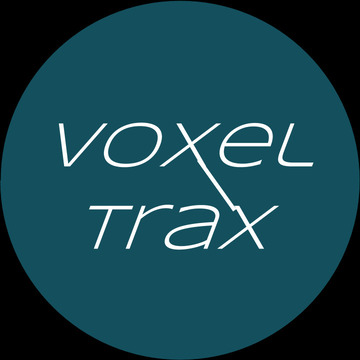 Voxel Trax