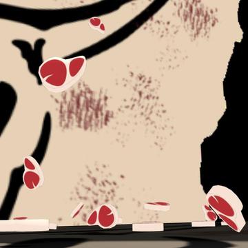 VR Meat Rain