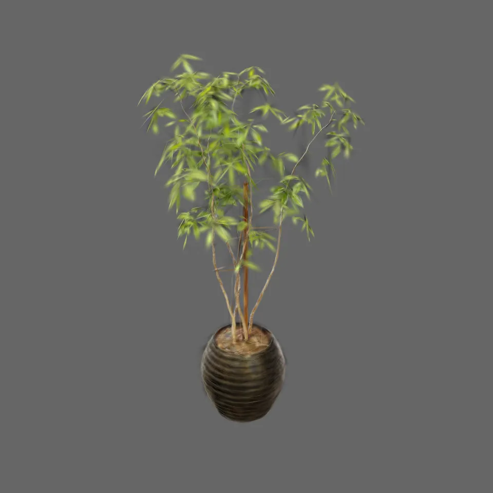 example potted plant pt2