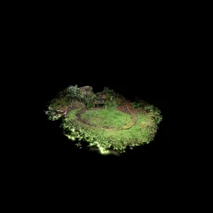 Overgrown Ornamental Pond, Murthly Estate, Perthshire, Scotland