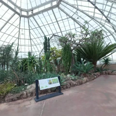 New York Botanical Garden 2