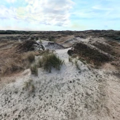 Slufter Dune