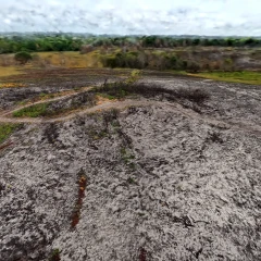 Bull Barrow, Holt Heath