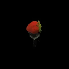 Strawberry Diffuse