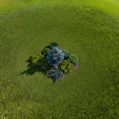 Bushes_from_PostsShot_3mln_240k_cleaned