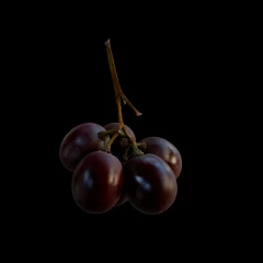 Red Grapes — synthetic Gaussian splat