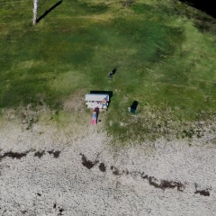 Beach Picnic
