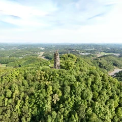 qingyunta