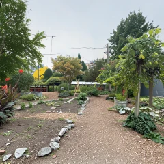 Urban Community Garden