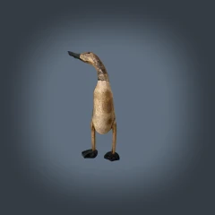Runner duck