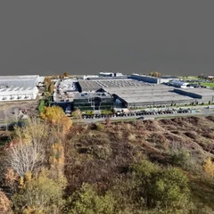 Allwindows Nysa