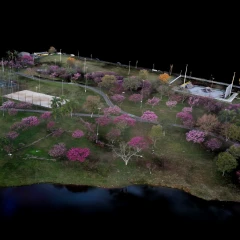 Cherry Park