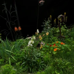 Small Garden