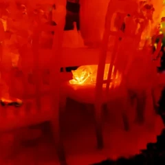 Thermal Cat