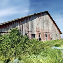 Side of a Barn