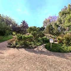 Botanic Garden - Vienna