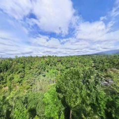 Antigravity A1 - macOS