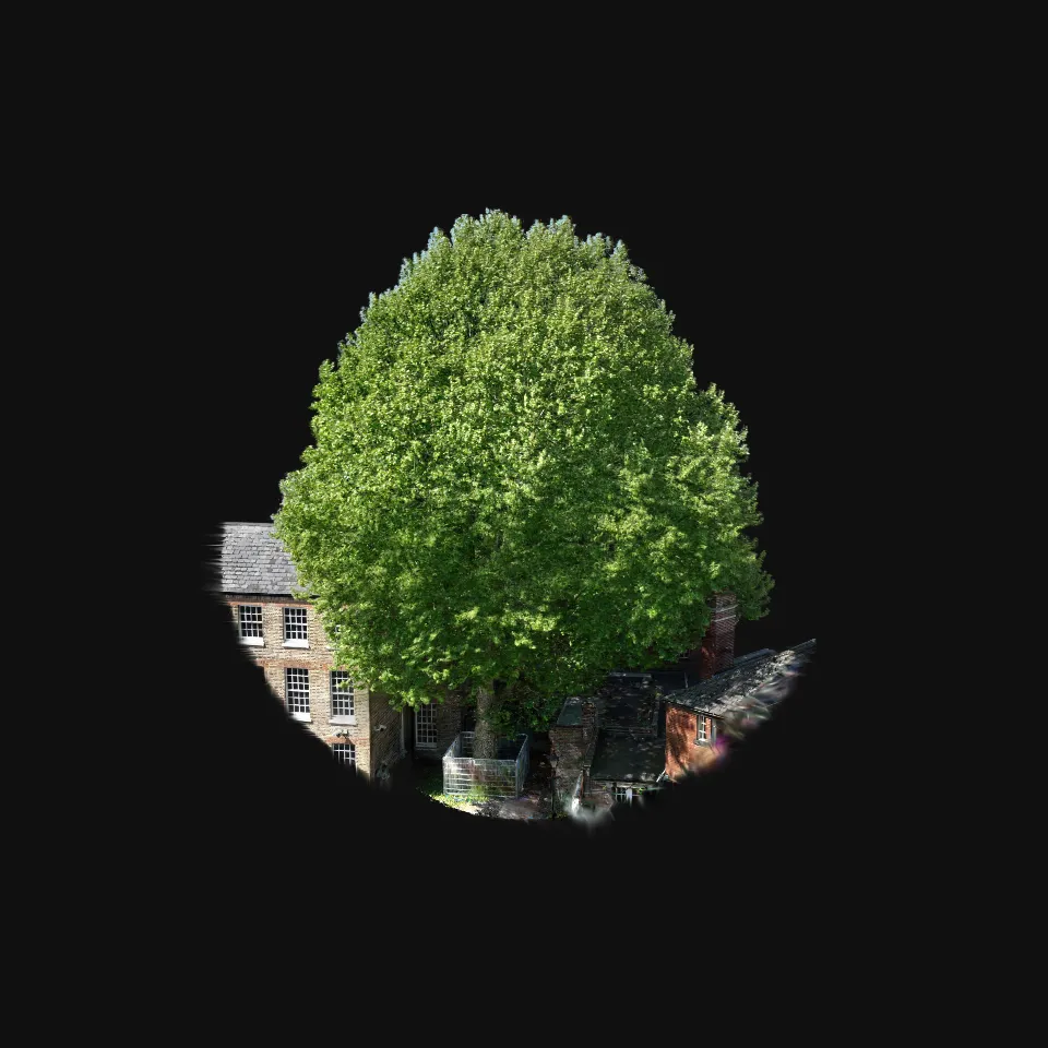 visualskies_tree_exaample
