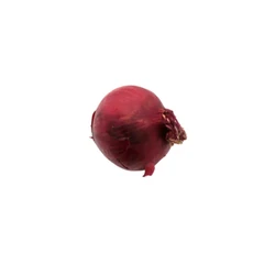 Shallot
