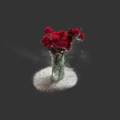 Carnations